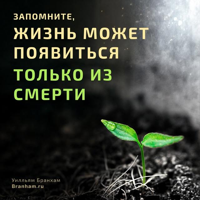 Картинка цитаты