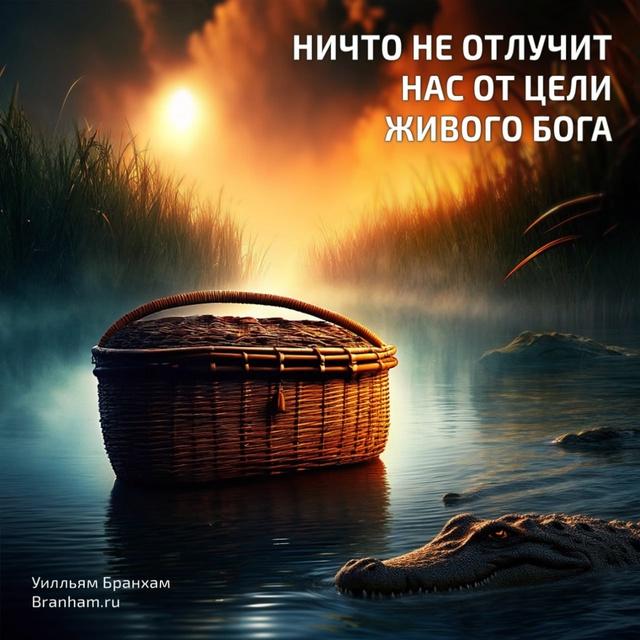 Картинка цитаты