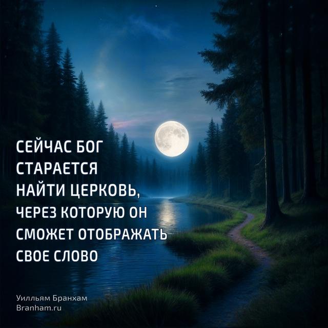 Картинка цитаты