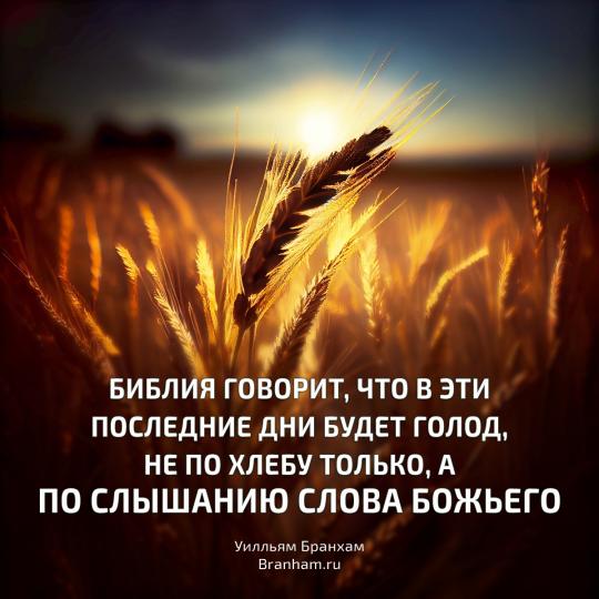 Картинка цитаты