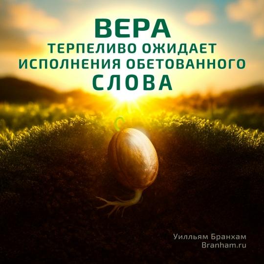 Картинка цитаты