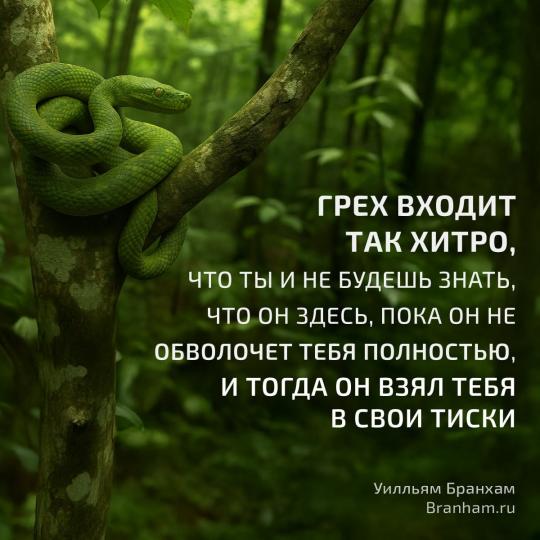 Картинка цитаты